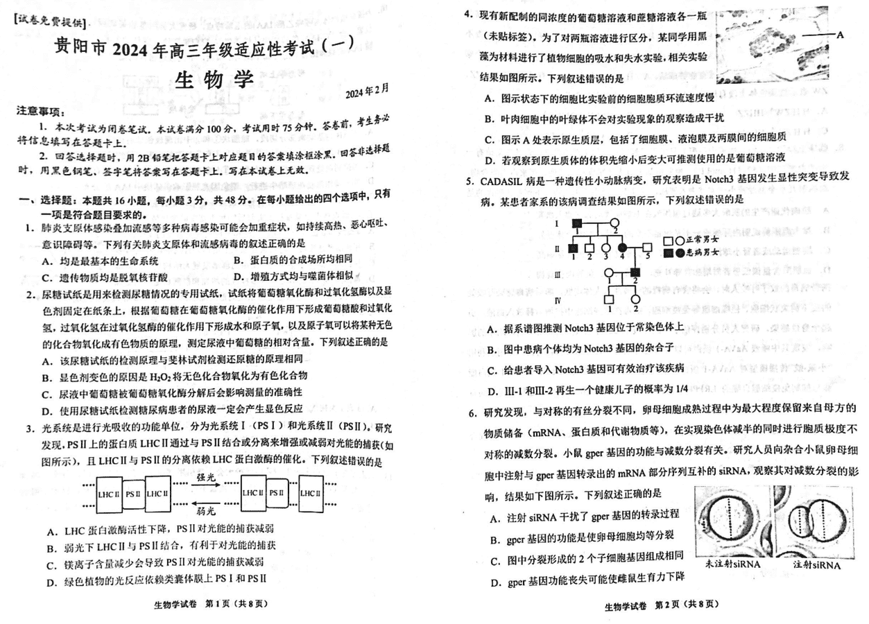 2024届贵州贵阳高三一模生物试卷及参考答案