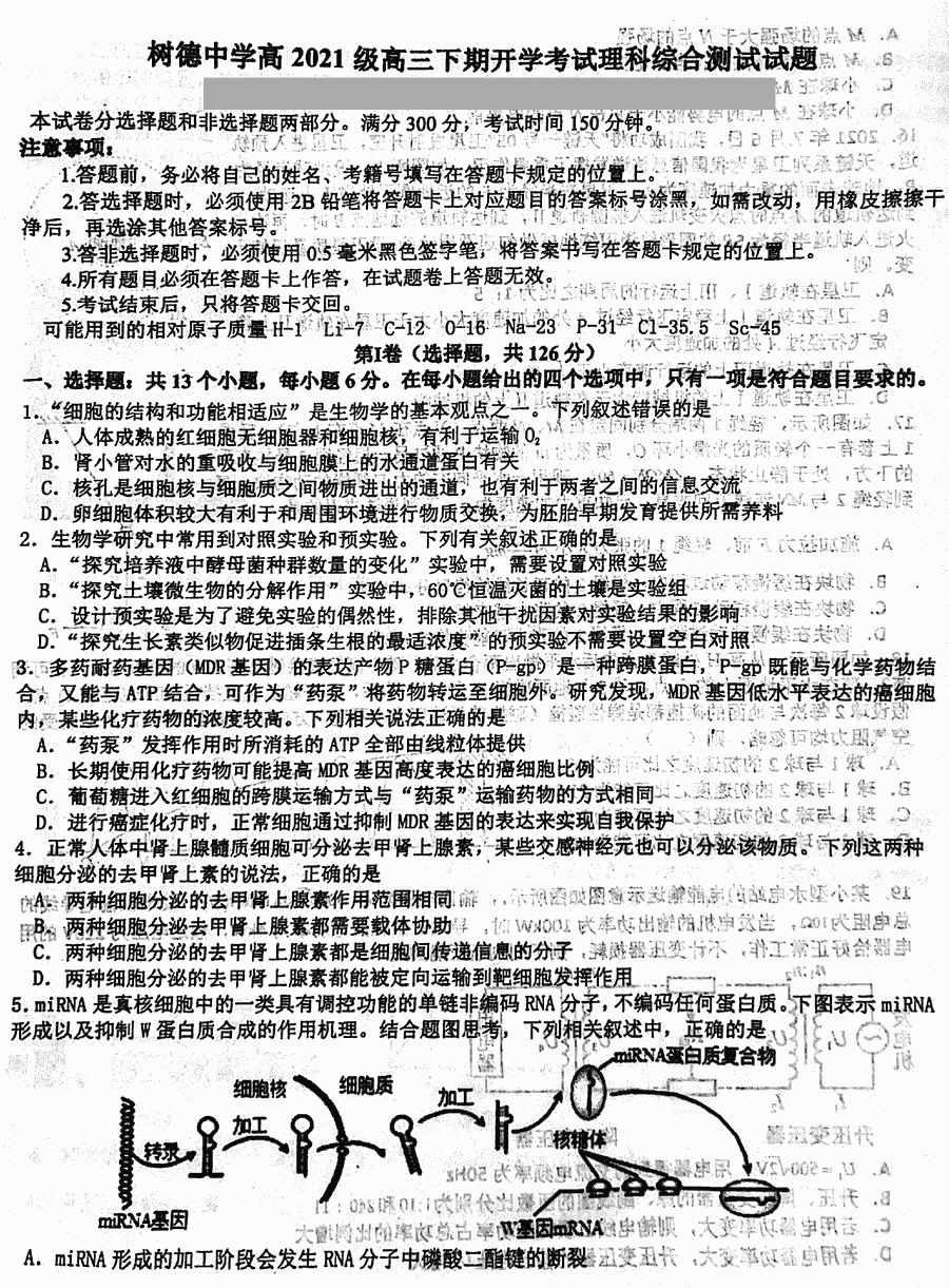 四川树德中学2024届高三下开学考理综试卷及参考答案