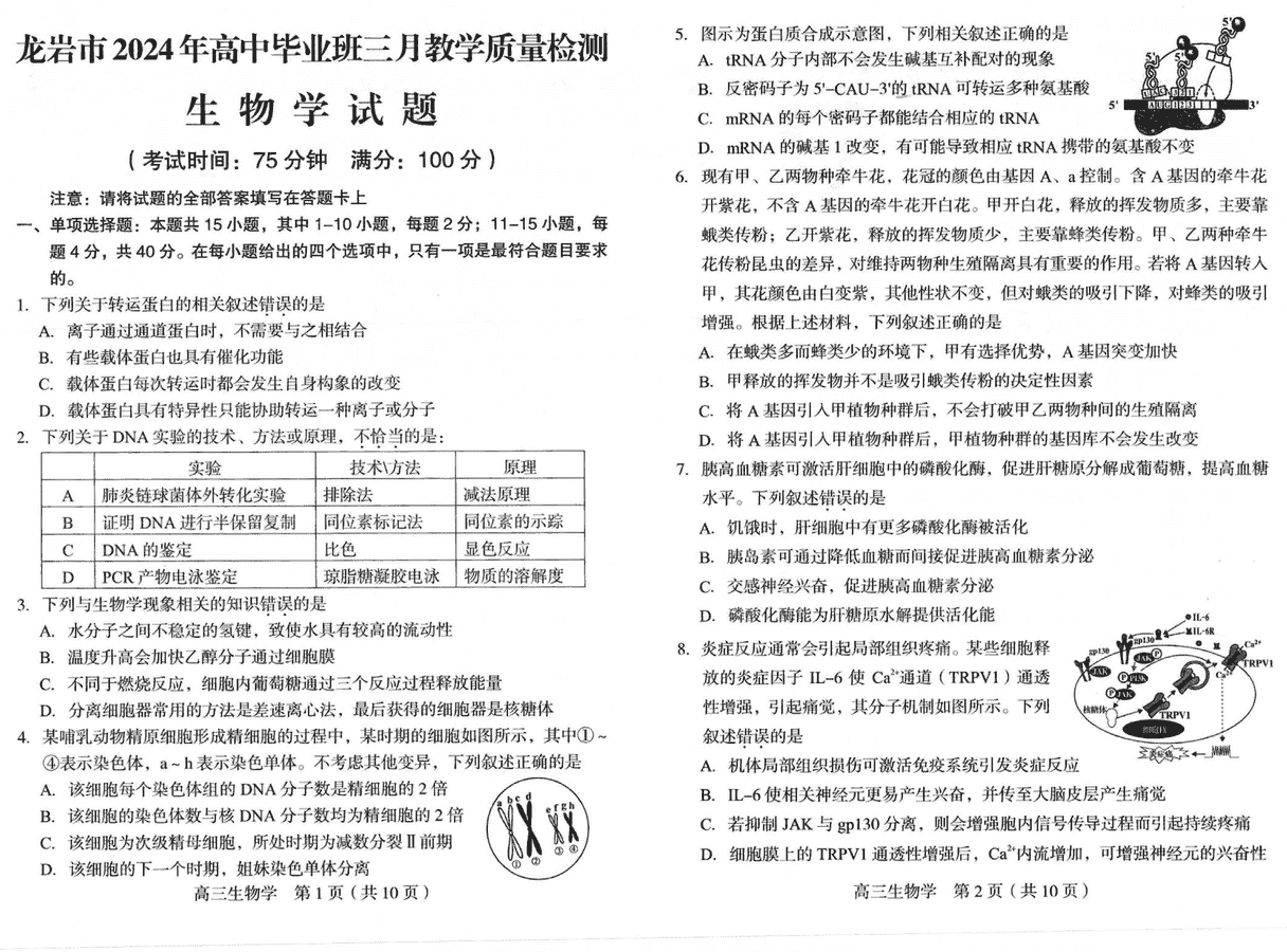 2024届福建龙岩高三下3月质检一模生物试卷及参考答案