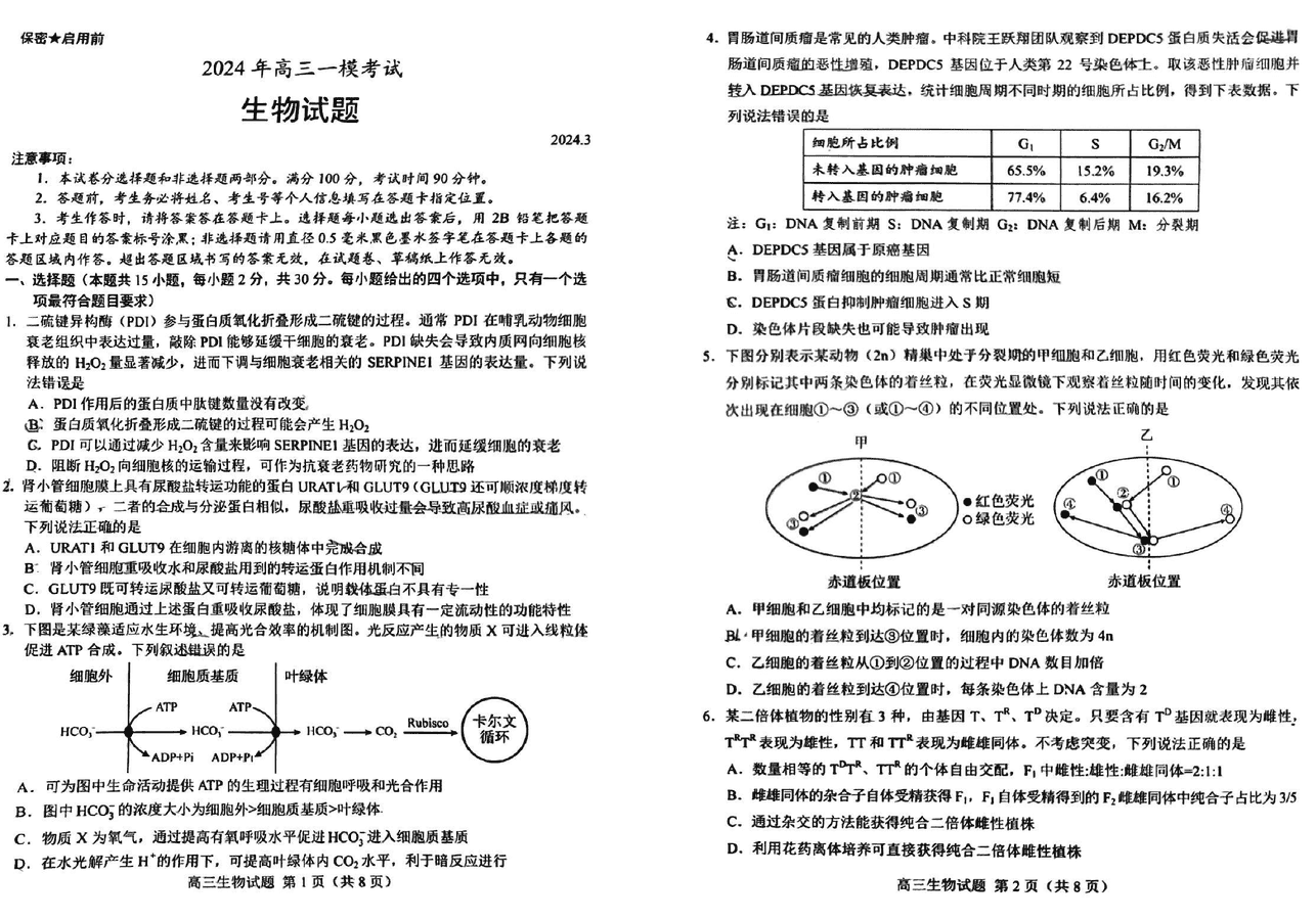 2024年菏泽高三一模生物试卷及参考答案