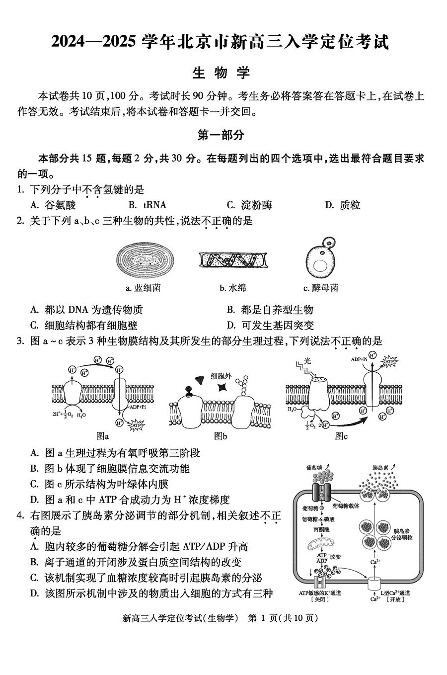 北京市2024-2025学年高三上学期入学定位考生物试卷及参考答案