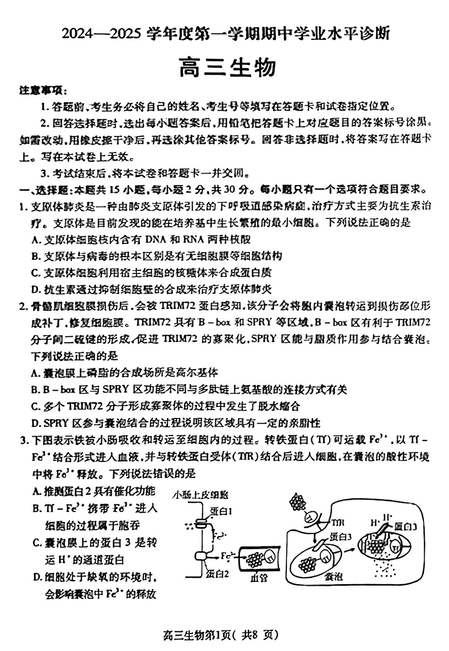 山东烟台2025届高三11月期中学业水平诊断生物试卷及参考答案