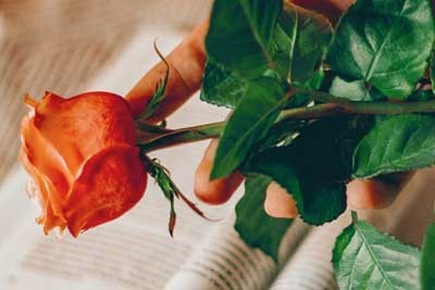 西南大学附属中学2025届高三上学期11月阶段性检测试卷及参考答案汇总