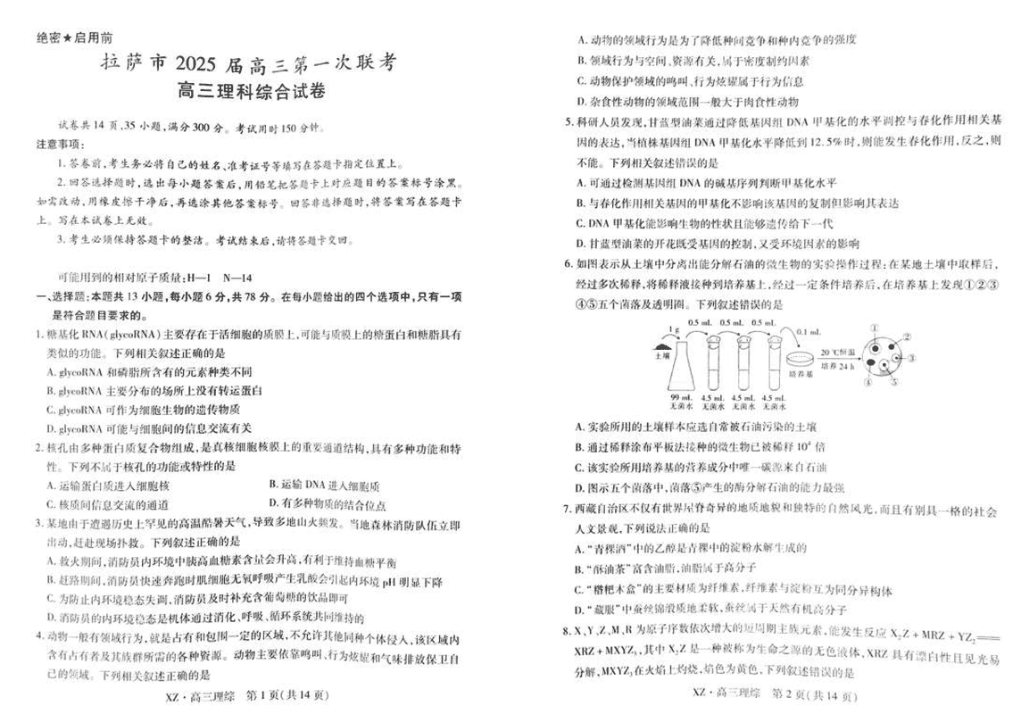 2025届西藏拉萨高三一模理综试卷及参考答案