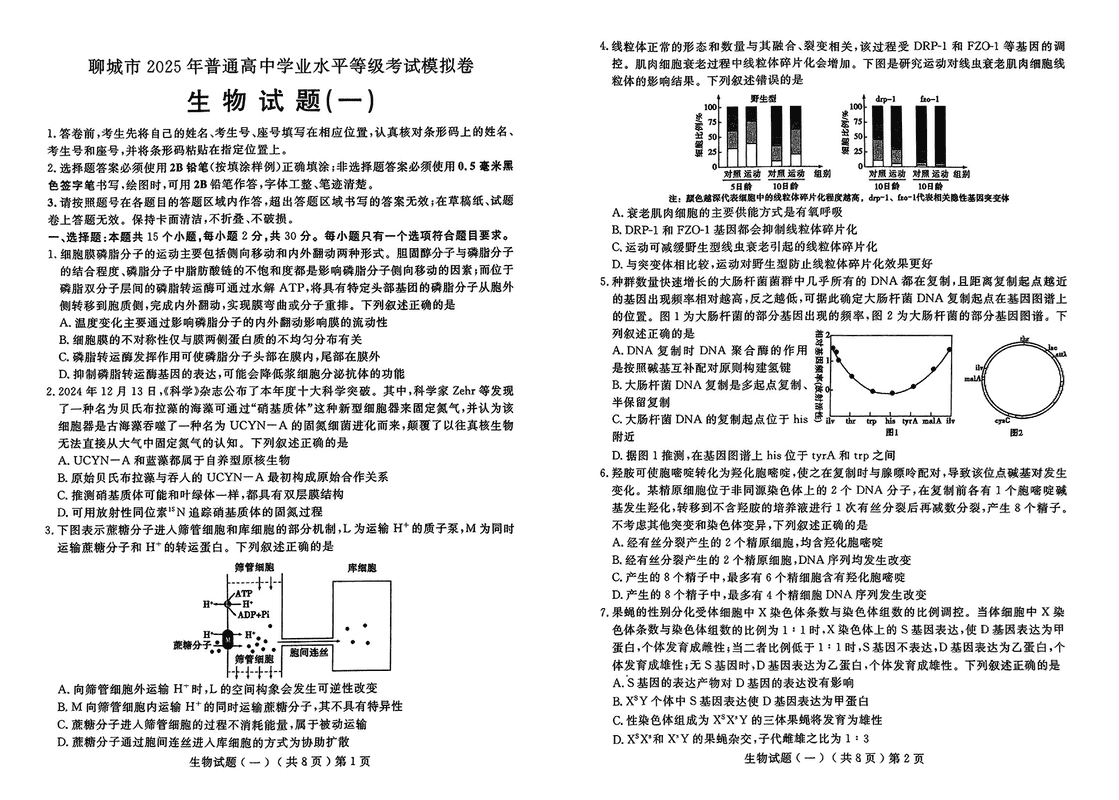 聊城一模2025年高三学业水平等级模拟卷生物试卷及参考答案