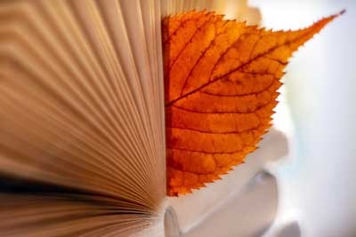 哈尔滨工业大学（深圳）2024年在江苏各专业最低录取分数线、最低位次排名
