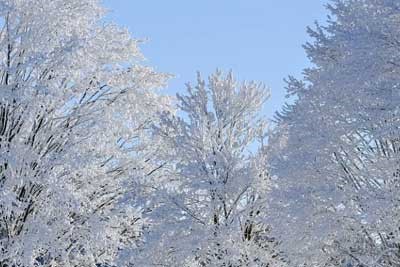 广东历化政533分左右可以上什么大学及专业 冲稳保院校推荐（2026参考）